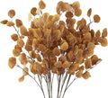 Sggvecsy 6 Pcs Fall Eucalyptus Leaves Artificial Eucalyptus Stems Long Silver Dollar Leaves Autumn Leaf Branches Fake Silk Eucalyptus for Christmas Home Autumn Thanksgiving Decor(Dark Yellow)