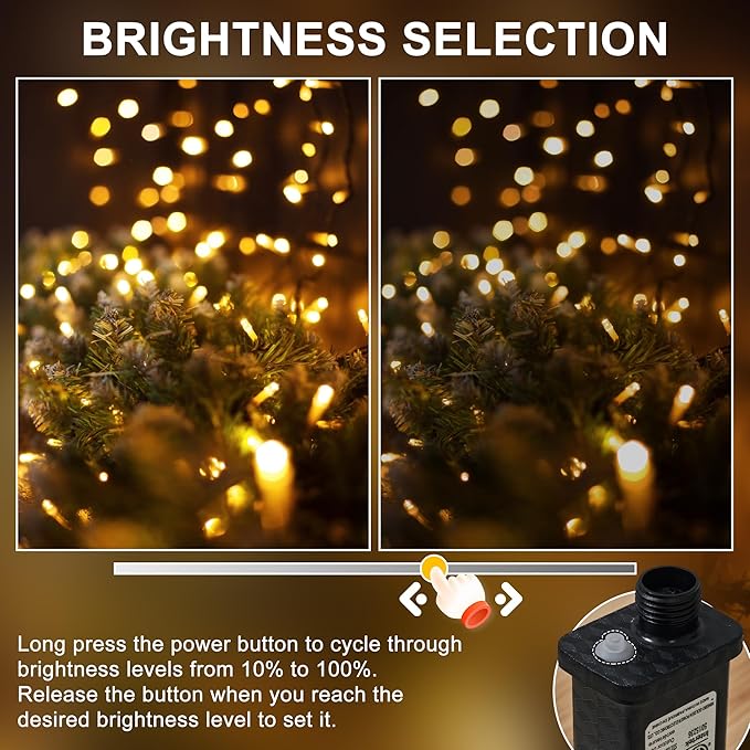 RPGT Christmas Light 100 LEDs 41ft Green Cable Wire Fairy String Twinkle Lights Plug in 12 Modes for Xmas Tree, Party, Indoor,Outdoor, Garden, Wedding, Home Decoration (Warm White)