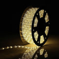 100Ft Rope Lights Outdoor, LED Strip Lights Waterproof Decorative Lighting for Indoor/Outdoor Decorations, Eaves, Backyards Garden, Patio and Bedroom, Christmas Decorations