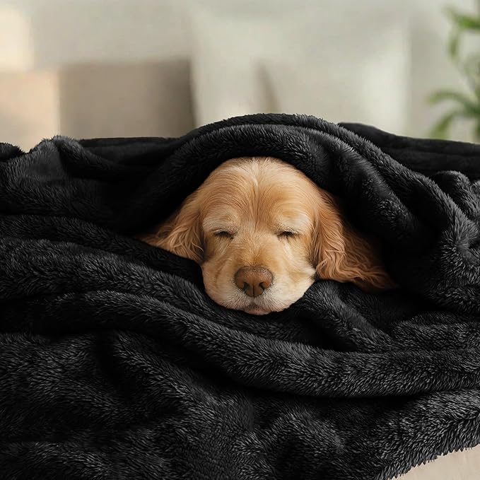 Exclusivo Mezcla Plush Fuzzy Fleece Bed Blanket Twin Size, Super Soft, Fluffy and Warm Blankets, Suitable for All Seasons (Black, 90x66 Inches)