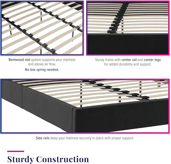 Novogratz The Her Majesty Upholstered Bed, King, Black Velvet