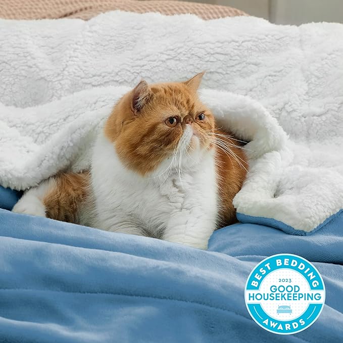 Bedsure GentleSoft Sherpa Fleece Throw Blanket for Couch - Thick and Warm Throw for Women and Men, Soft Fuzzy Plush Blanket for Winter, Washed Blue, 50x60 Inches