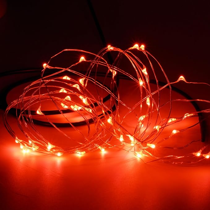 Karlling USB Plug in LED Fairy Lights,50 LED Bulbs 16 Ft Silver Wire Starry String Lights for Bedroom Patio Garden Party Wedding Commercial Lighting (Red)