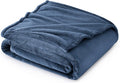Bedsure GentleSoft Fleece Throw Blanket Mineral Blue - 300GSM Blankets for Couch, Sofa, Bed, Soft Lightweight Plush Cozy Throws for Toddlers, 50x60 inches