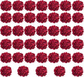 Red Hydrangea Artificial Flowers Bulk, 40 Pcs Faux Hydrangea Flowers Heads, Artificial Fake Silk Hydrangea Flowers with Stems, Red Flowers Artificial for Decoration Wedding Décor