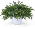 50 Pcs Christmas Greenery Pines Branch Pine Branches Artificial Green Pine Stem - Real Touch for Vase DIY Crafts Flower Arrangement Home Indoor Christmas Decor(18 Inch)