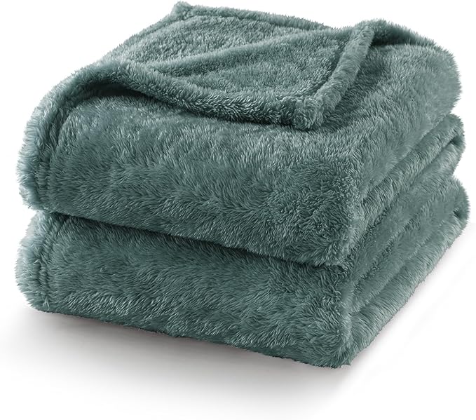 Exclusivo Mezcla Plush Fuzzy Fleece Bed Blanket Queen Size, Super Soft, Fluffy and Warm Blankets Suitable for All Seasons (Celadon, 90x90 Inches)