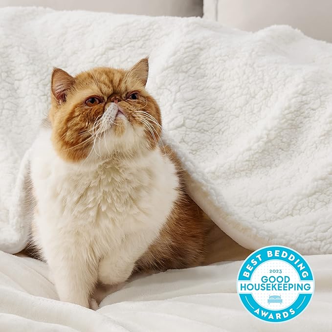 Bedsure GentleSoft Sherpa Fleece Throw Blanket for Couch - Thick and Warm Throw for Women and Men, Soft Fuzzy Plush Blanket for Winter, Cream, 50x60 Inches