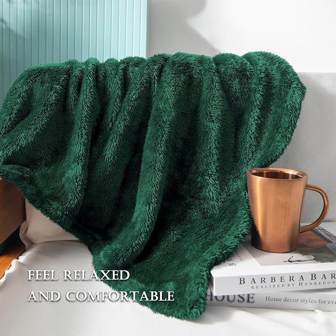 Exclusivo Mezcla Plush Fuzzy Fleece Bed Blanket Queen Size, Super Soft, Fluffy and Warm Blankets Suitable for All Seasons (Forest Green, 90x90 Inches)