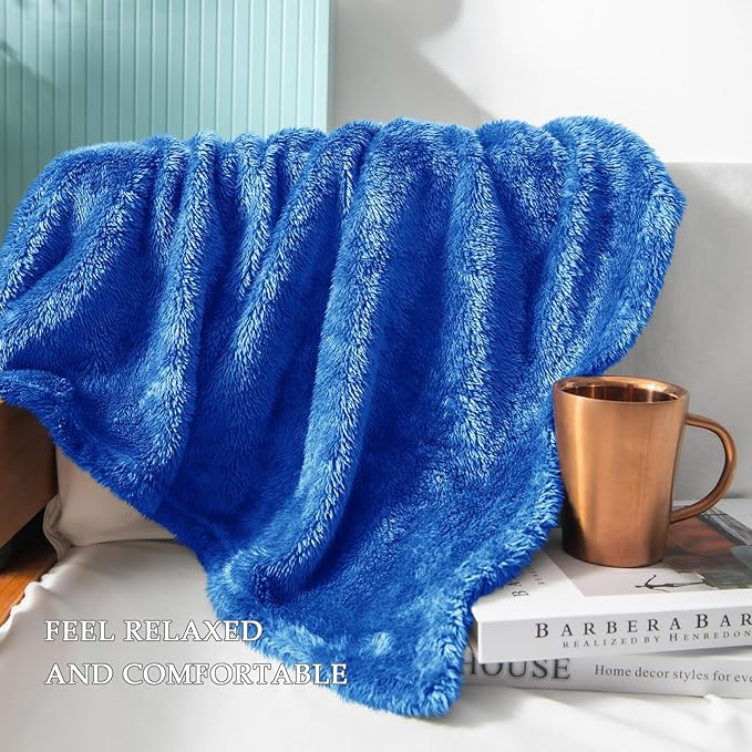 Exclusivo Mezcla Plush Fuzzy Fleece Bed Blanket Queen Size, Super Soft, Fluffy and Warm Blankets Suitable for All Seasons (Cobalt Blue, 90x90 Inches)