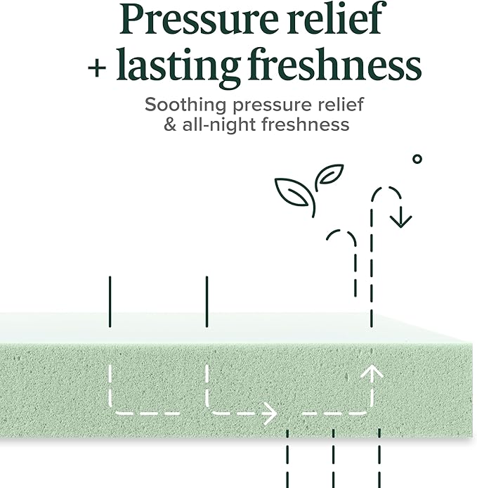 ZINUS 8 Inch Green Tea Memory Foam Mattress, Full, Fiberglass Free, Patented Custom Contour Support, Sturdy Base Foam, CertiPUR-US Certified, Mattress in A Box, White