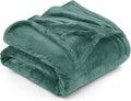 Utopia Bedding Fleece Blanket Twin Size Celadon 300GSM Luxury Anti-Static Fuzzy Soft Microfiber Bed Blanket (60x80 Inch)