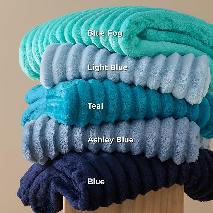 Bedsure GentleSoft Blue Fleece Blanket for Couch - Cozy Soft Blankets for Women, Cute Small Throws for Girls, 50x70 Inches
