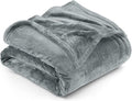 Utopia Bedding Fleece Blanket Twin Size Ash Grey 300GSM Luxury Anti-Static Fuzzy Soft Microfiber Bed Blanket (60x80 Inch)